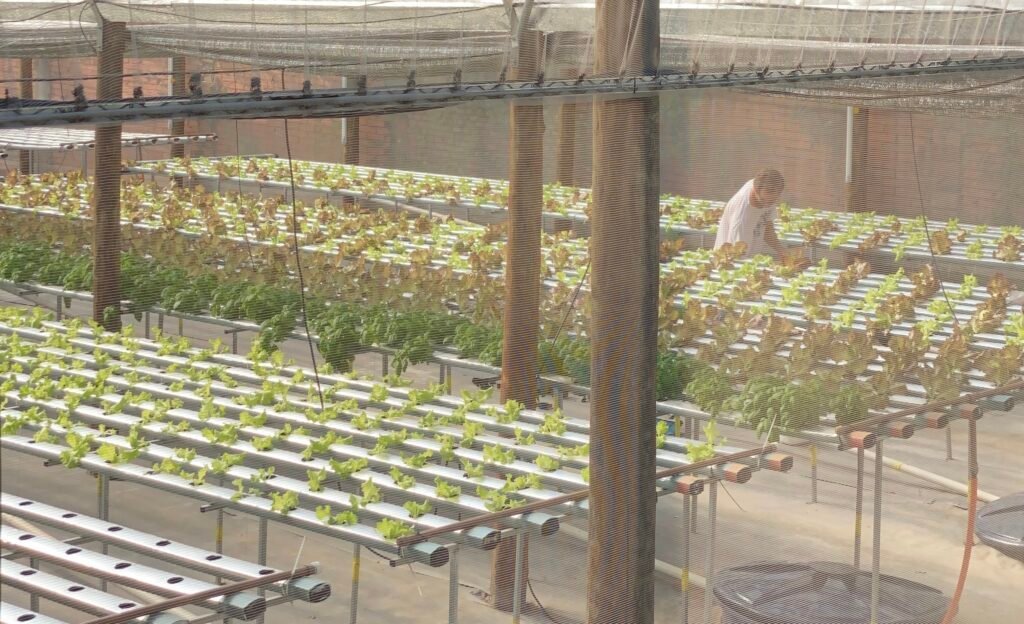 Vista aérea de la instalación