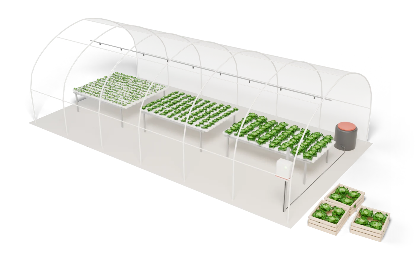 A model of our greenhouse: germination trays, intermediate and final tables of lettuce, the controller by the door and crates of harvested heads outside.