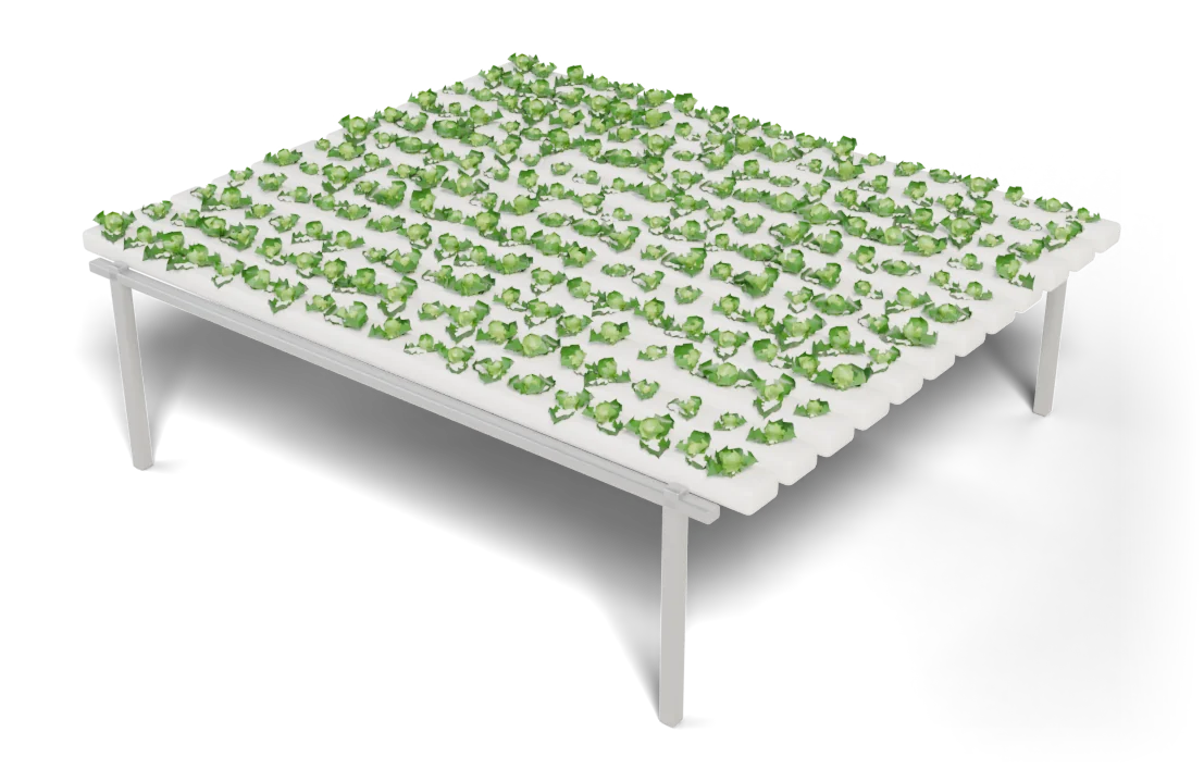 A germination table, its channels full of seedlings.